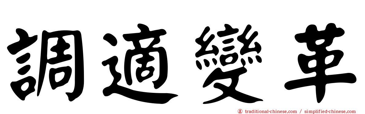 調適變革
