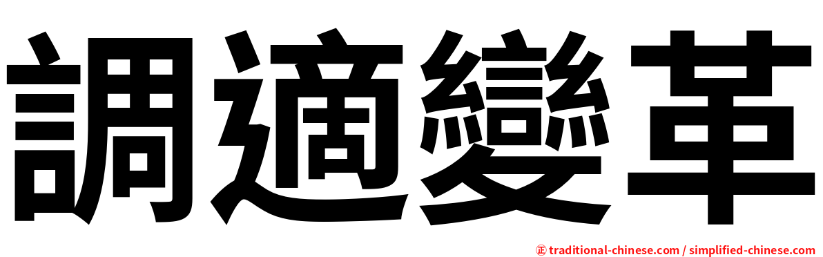 調適變革