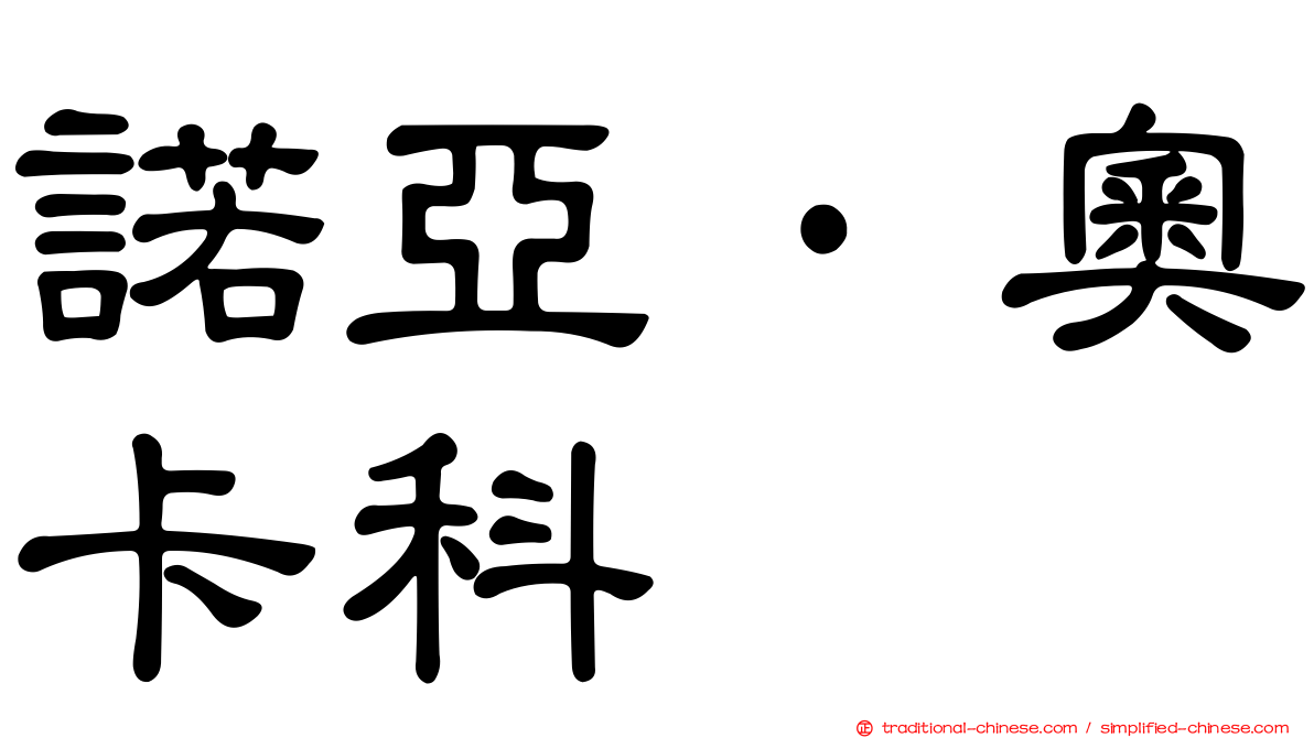 諾亞·奧卡科