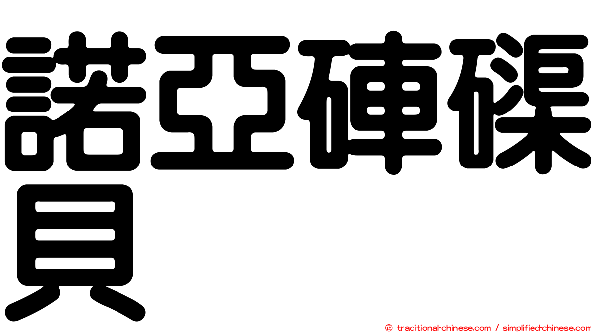 諾亞硨磲貝