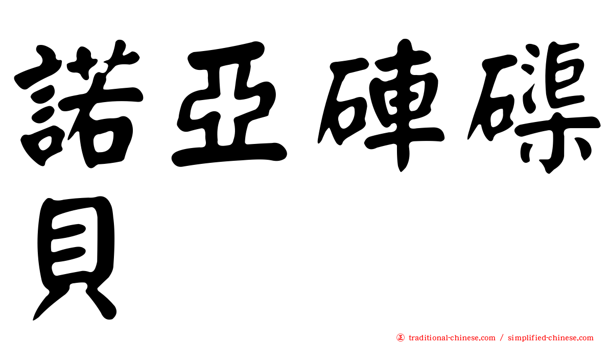諾亞硨磲貝
