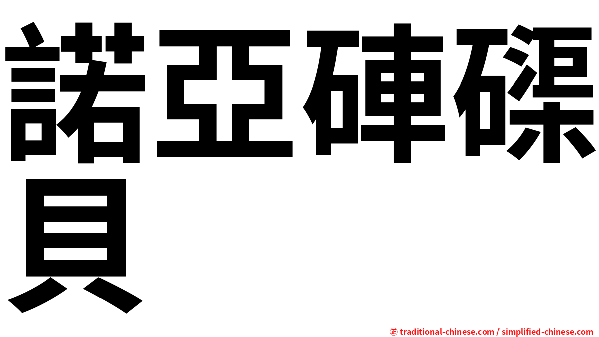 諾亞硨磲貝