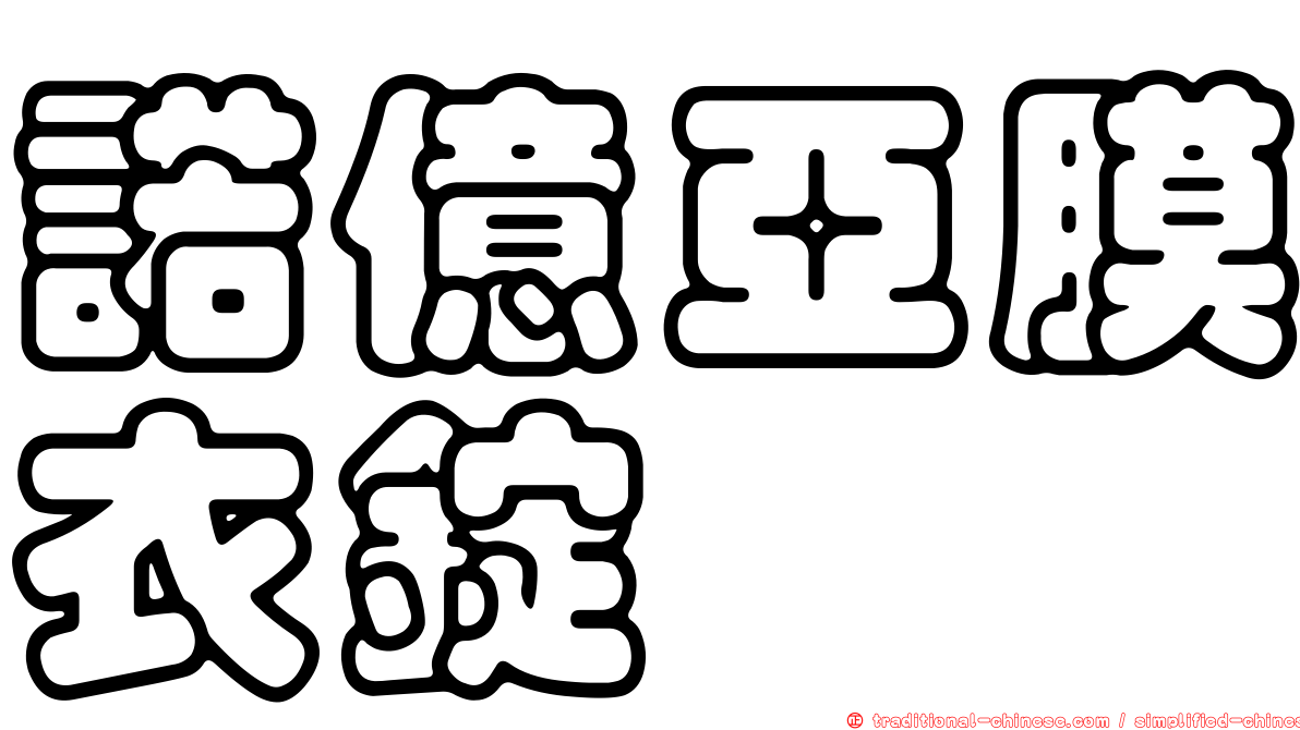 諾億亞膜衣錠