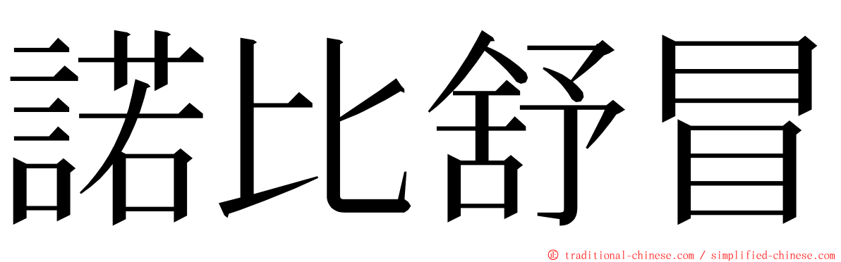 諾比舒冒 ming font