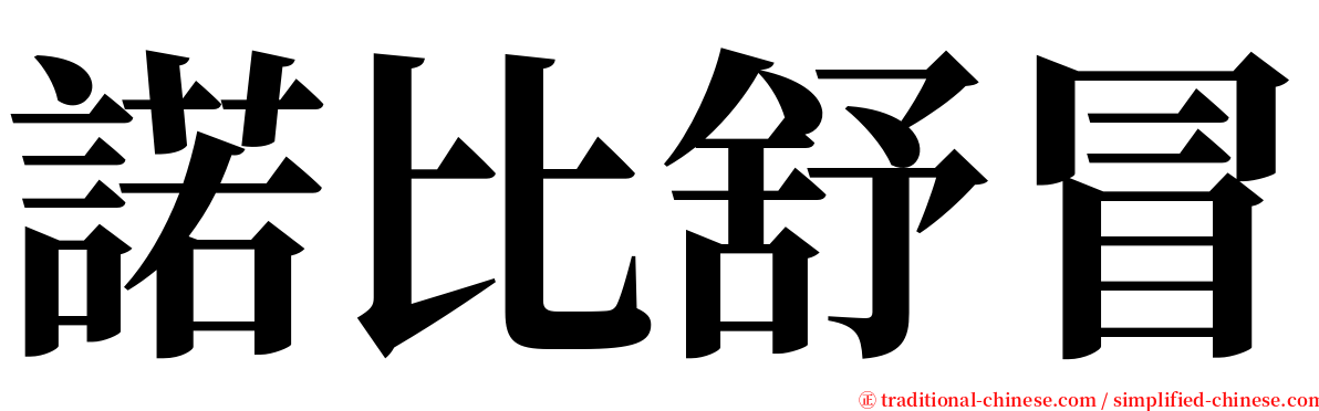 諾比舒冒 serif font