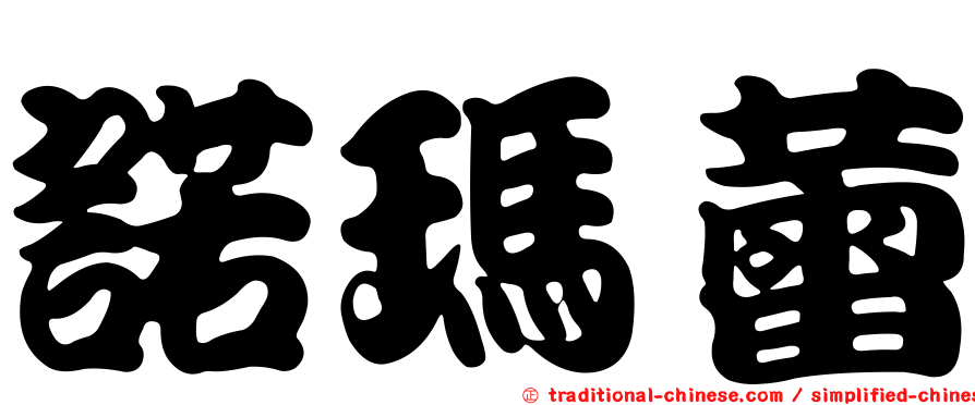諾瑪蕾