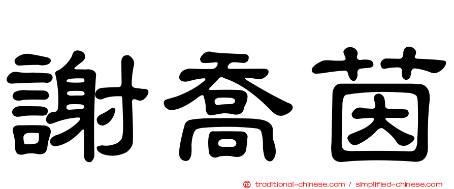 謝喬茵