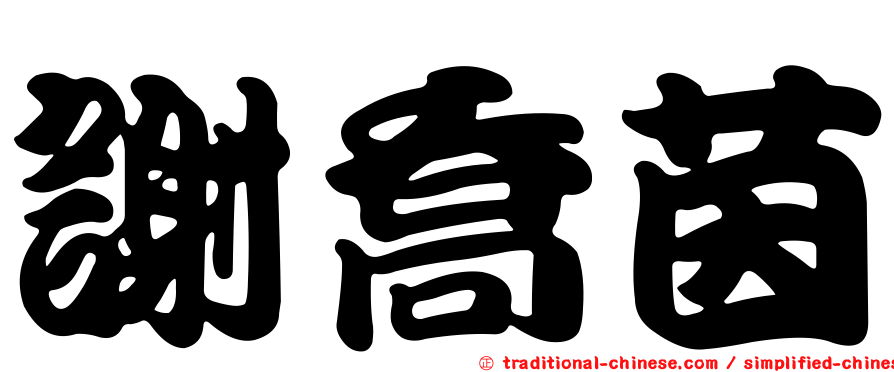 謝喬茵