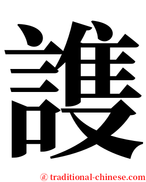 謢 serif font