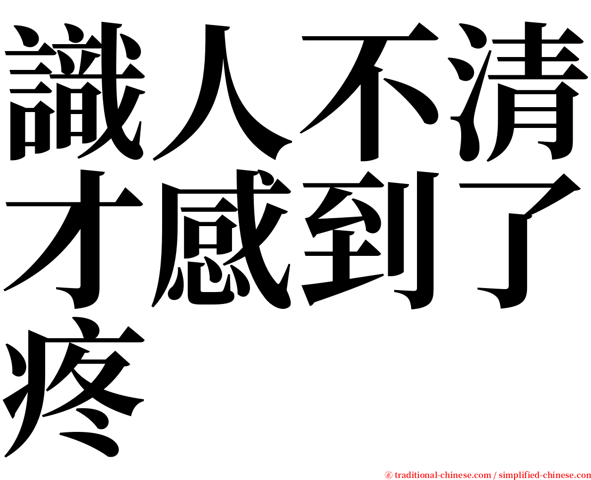 識人不清才感到了疼 serif font