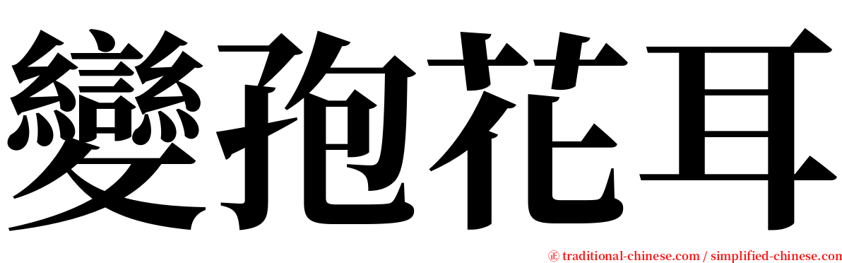 變孢花耳 serif font
