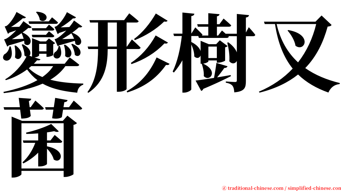 變形樹叉菌 serif font