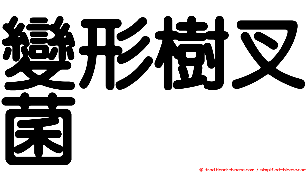 變形樹叉菌