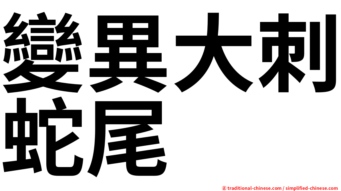 變異大刺蛇尾