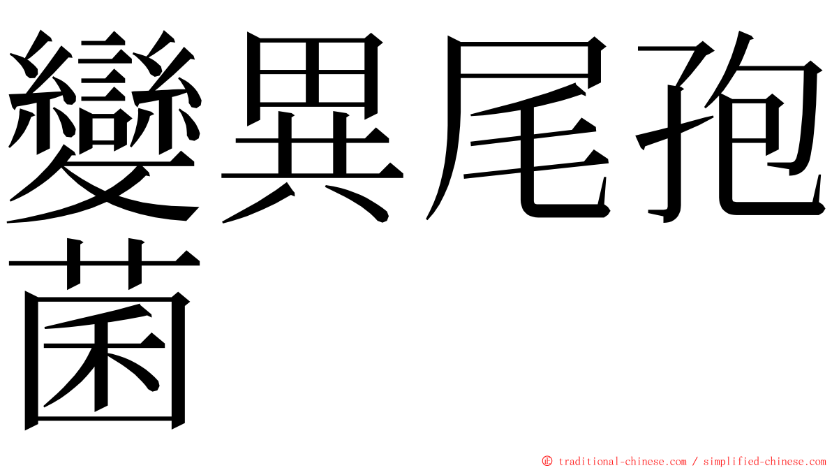 變異尾孢菌 ming font