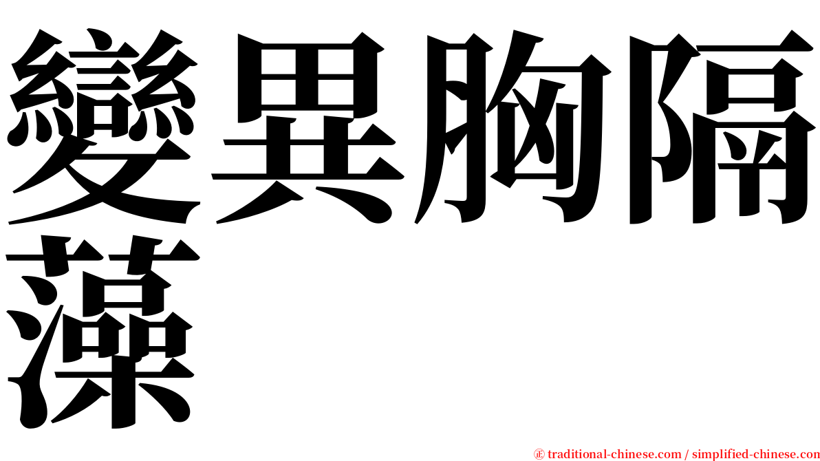 變異胸隔藻 serif font
