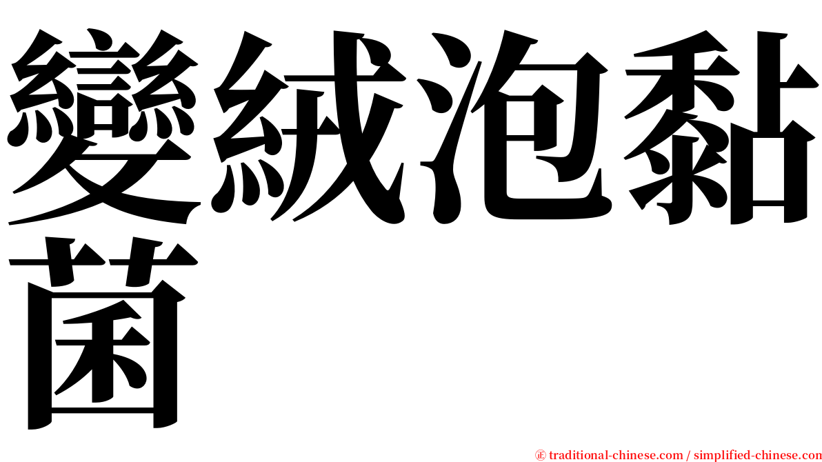 變絨泡黏菌 serif font