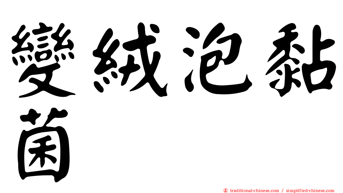 變絨泡黏菌