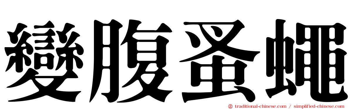 變腹蚤蠅