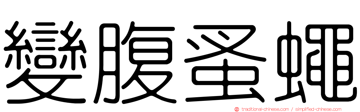 變腹蚤蠅