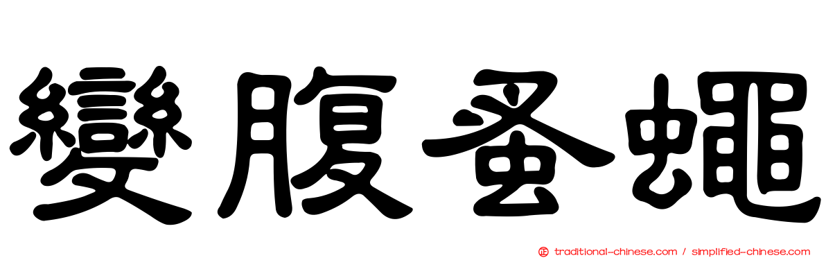 變腹蚤蠅