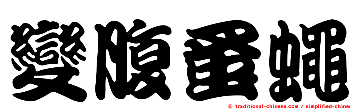 變腹蚤蠅