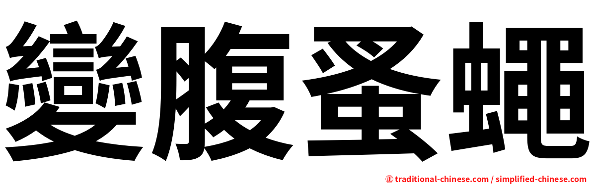 變腹蚤蠅
