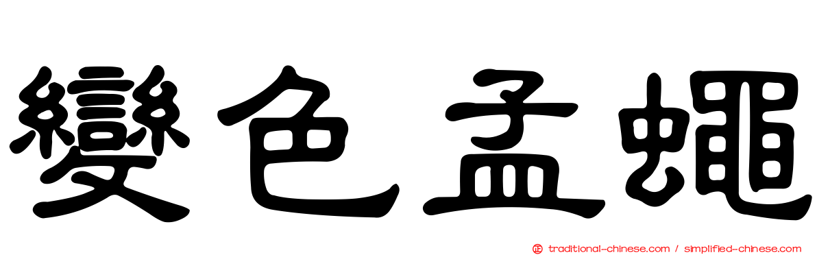 變色孟蠅