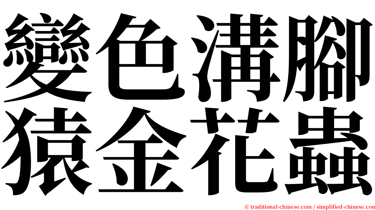 變色溝腳猿金花蟲 serif font