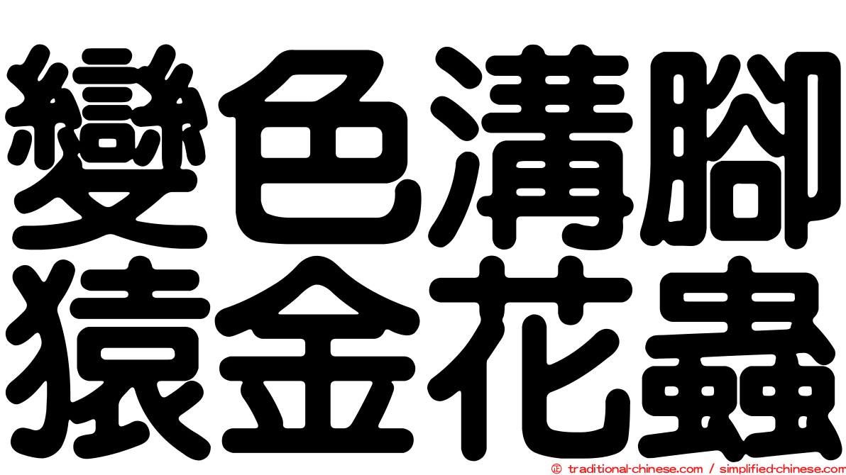 變色溝腳猿金花蟲