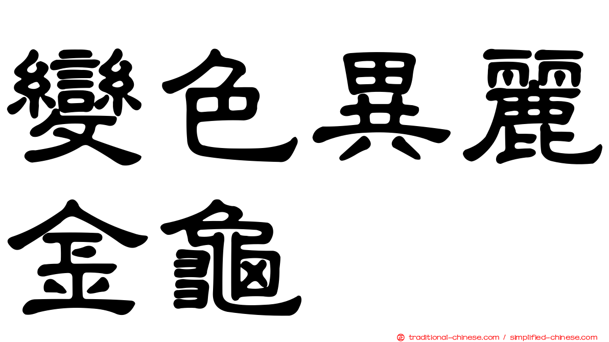 變色異麗金龜