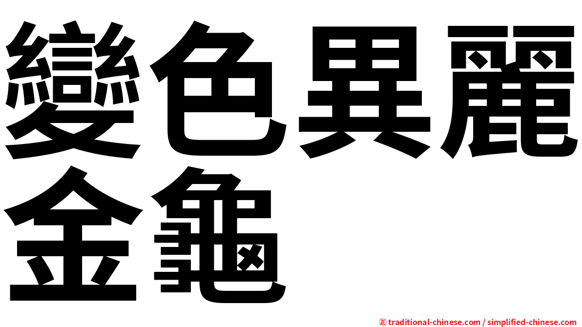變色異麗金龜