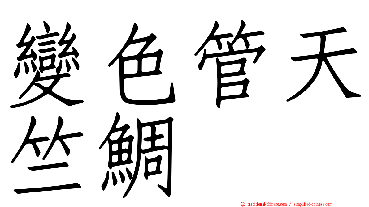 變色管天竺鯛