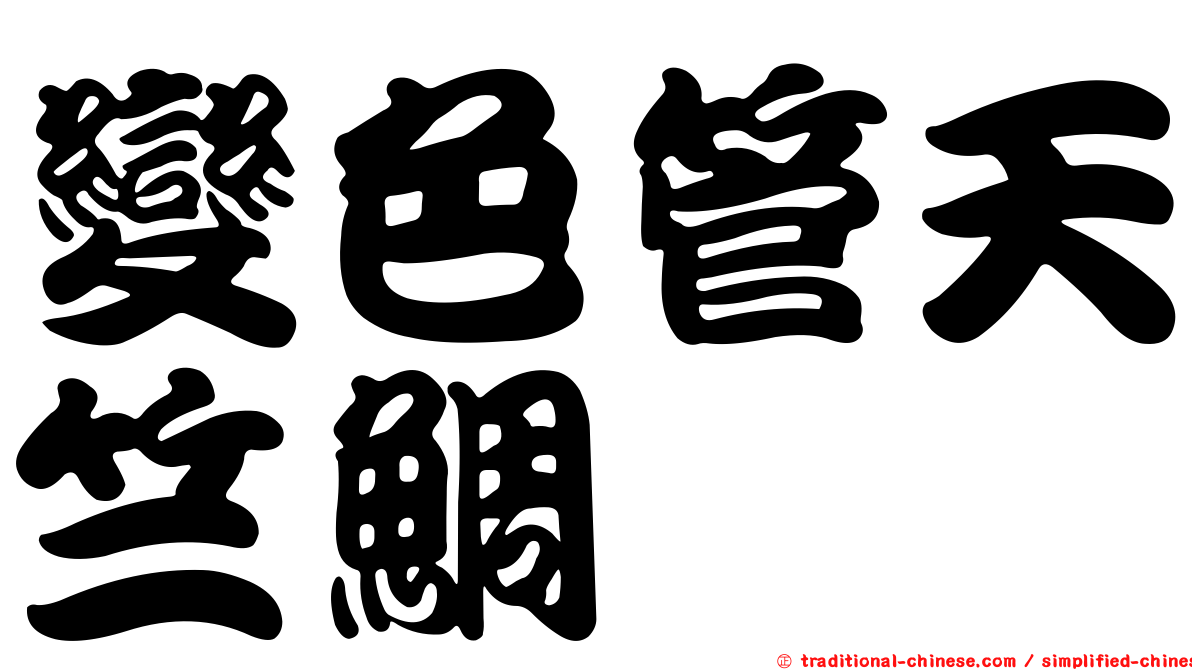 變色管天竺鯛
