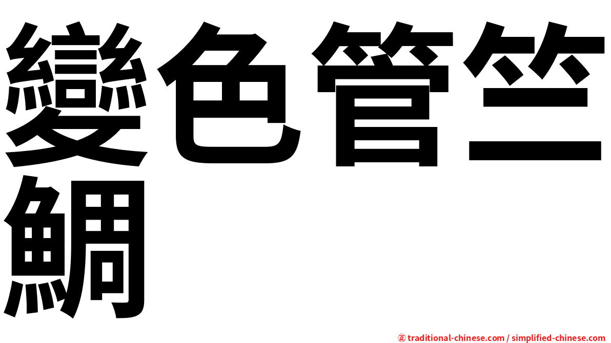變色管竺鯛