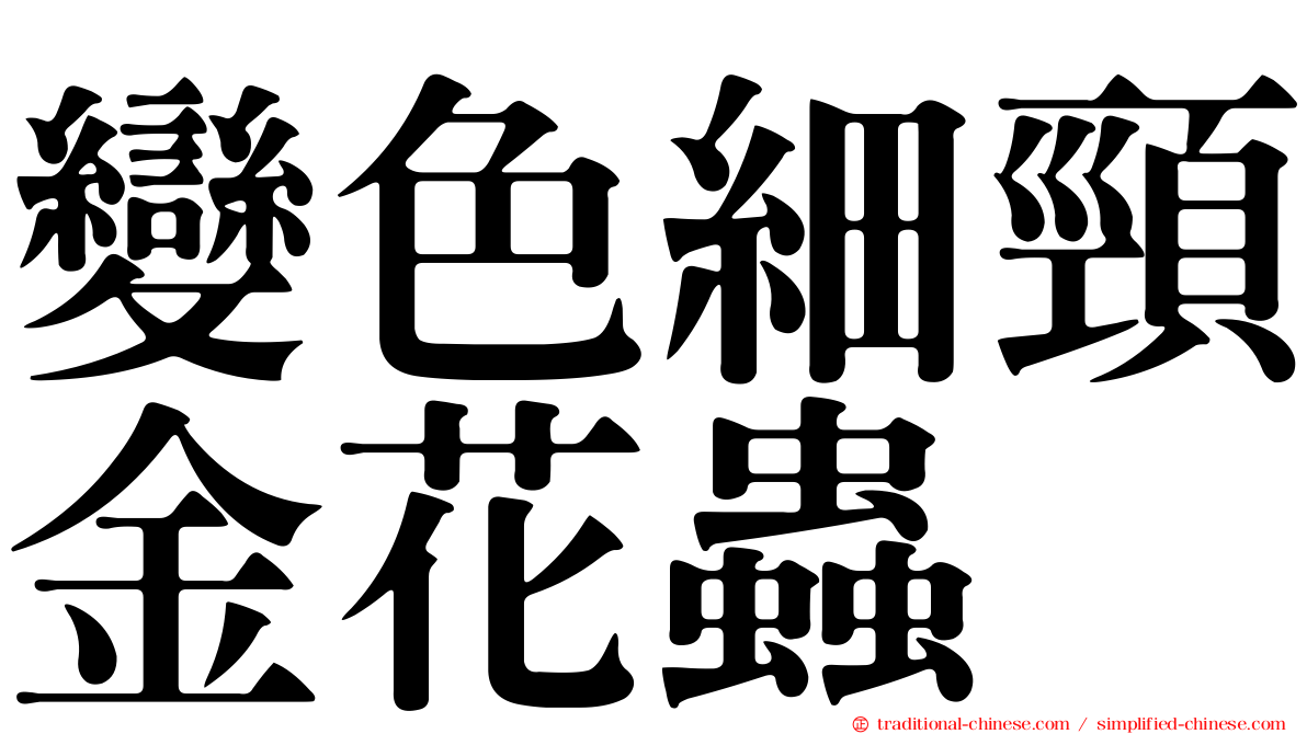 變色細頸金花蟲