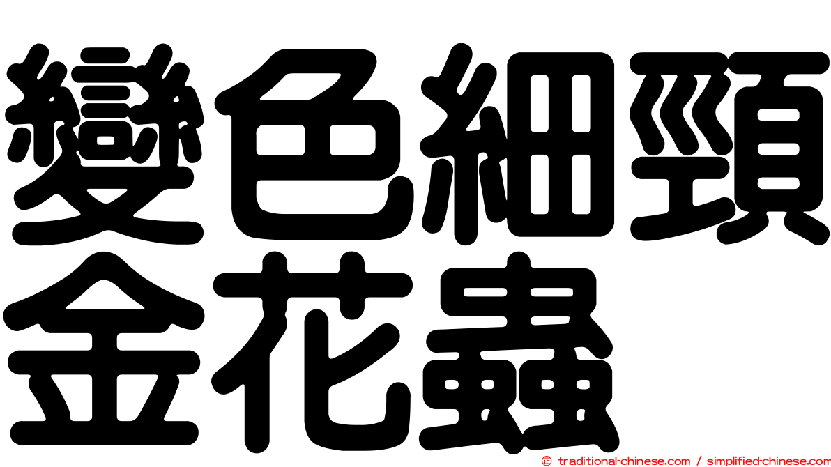 變色細頸金花蟲