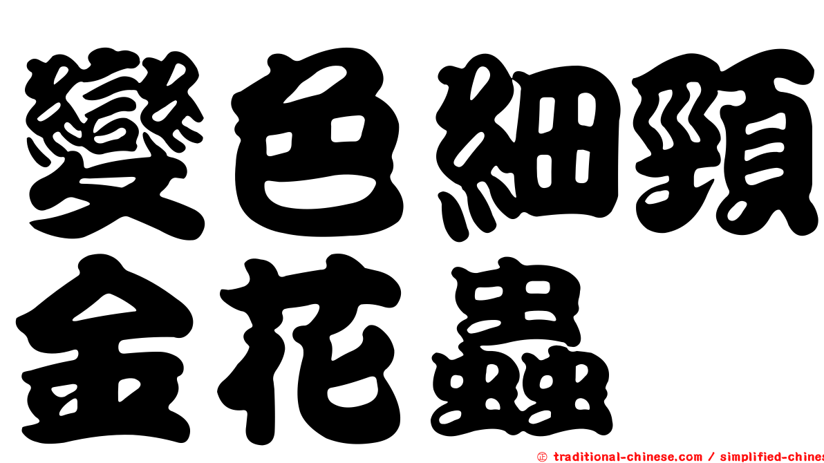 變色細頸金花蟲