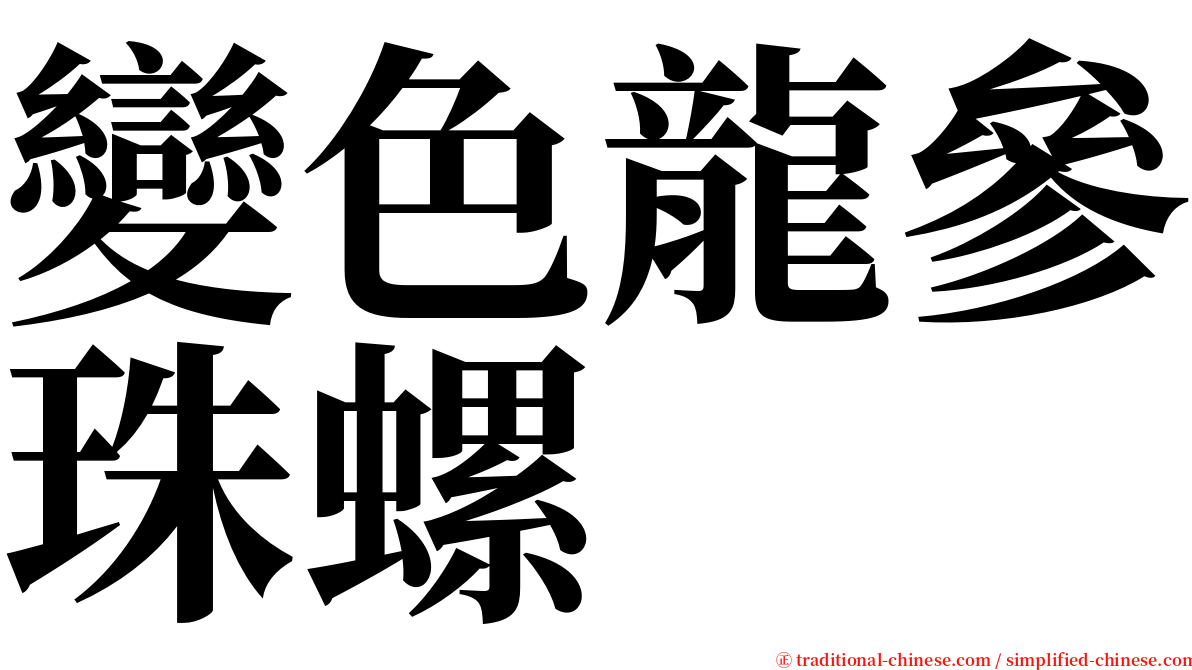變色龍參珠螺 serif font