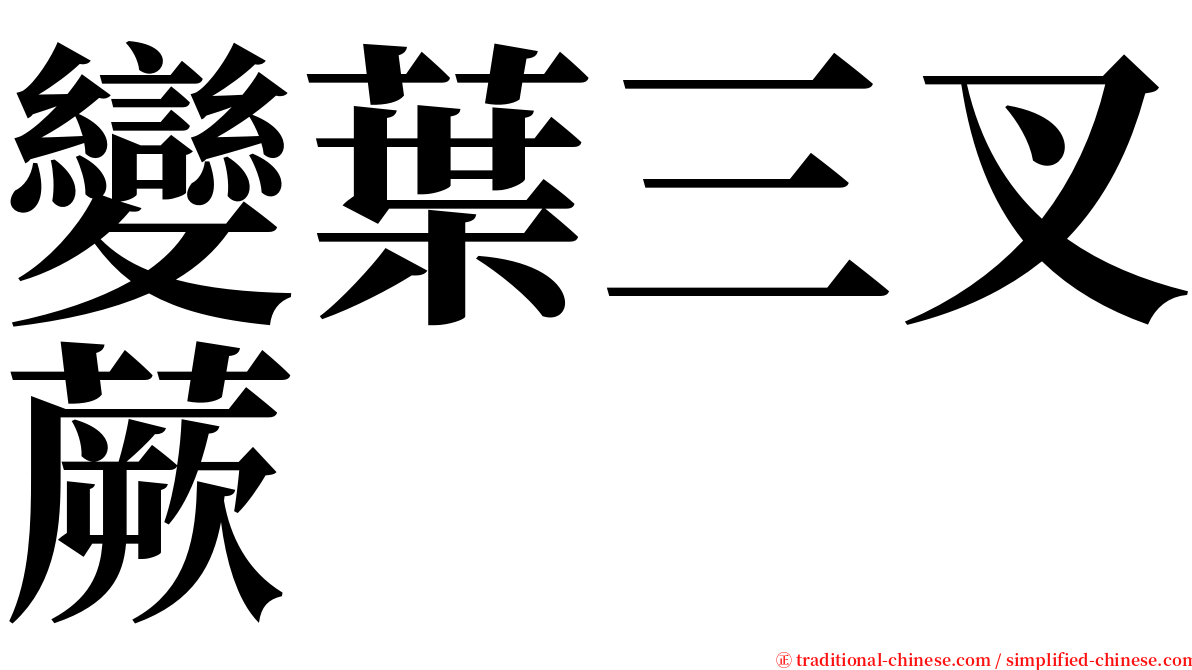 變葉三叉蕨 serif font