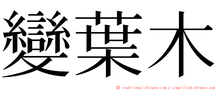 變葉木 ming font