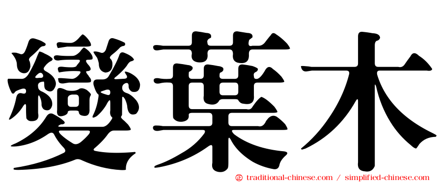 變葉木
