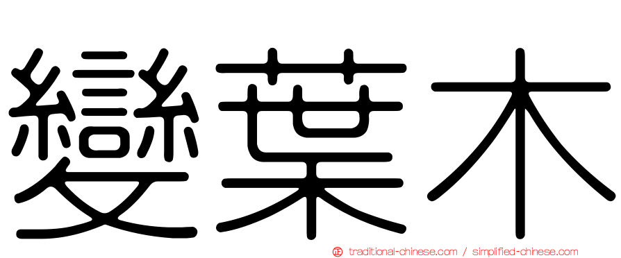 變葉木