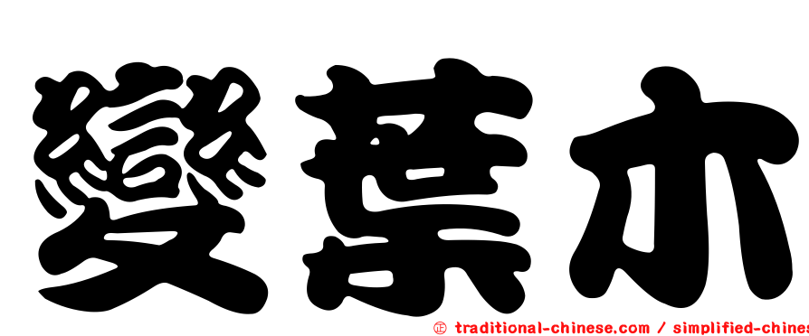 變葉木