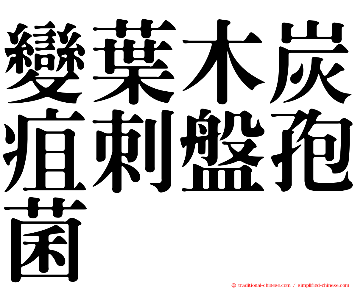 變葉木炭疽刺盤孢菌