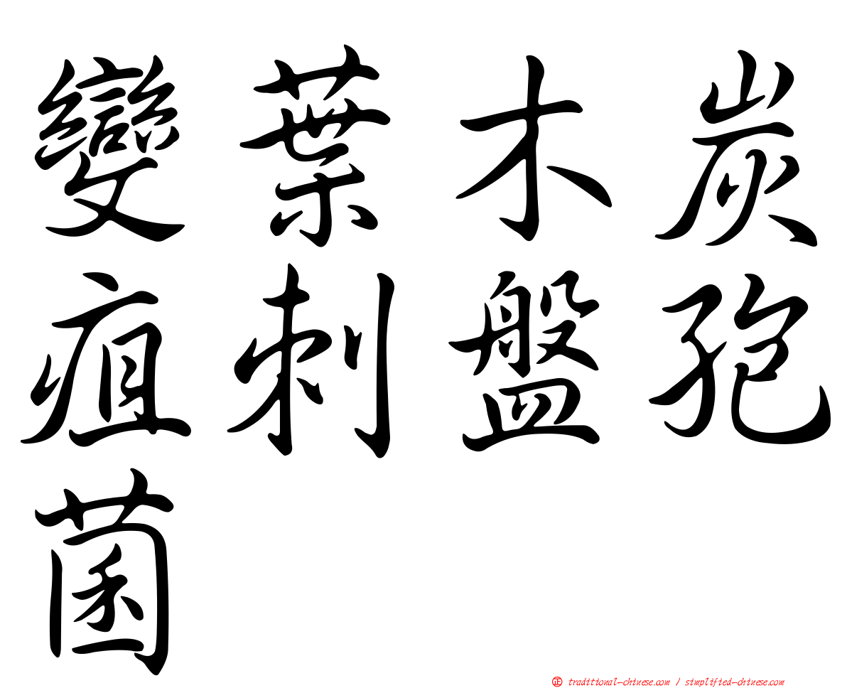 變葉木炭疽刺盤孢菌