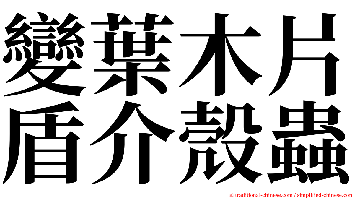 變葉木片盾介殼蟲 serif font