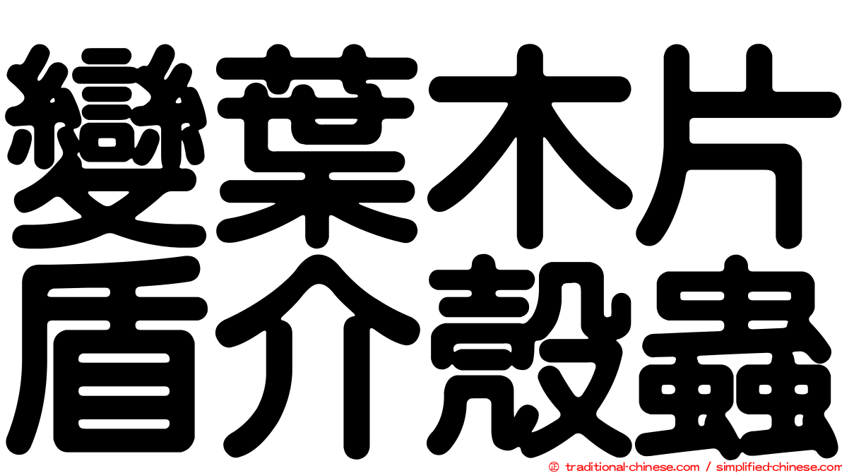 變葉木片盾介殼蟲