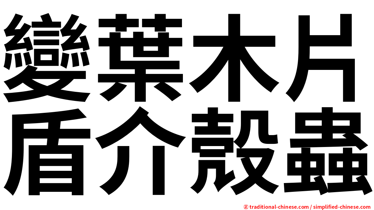 變葉木片盾介殼蟲