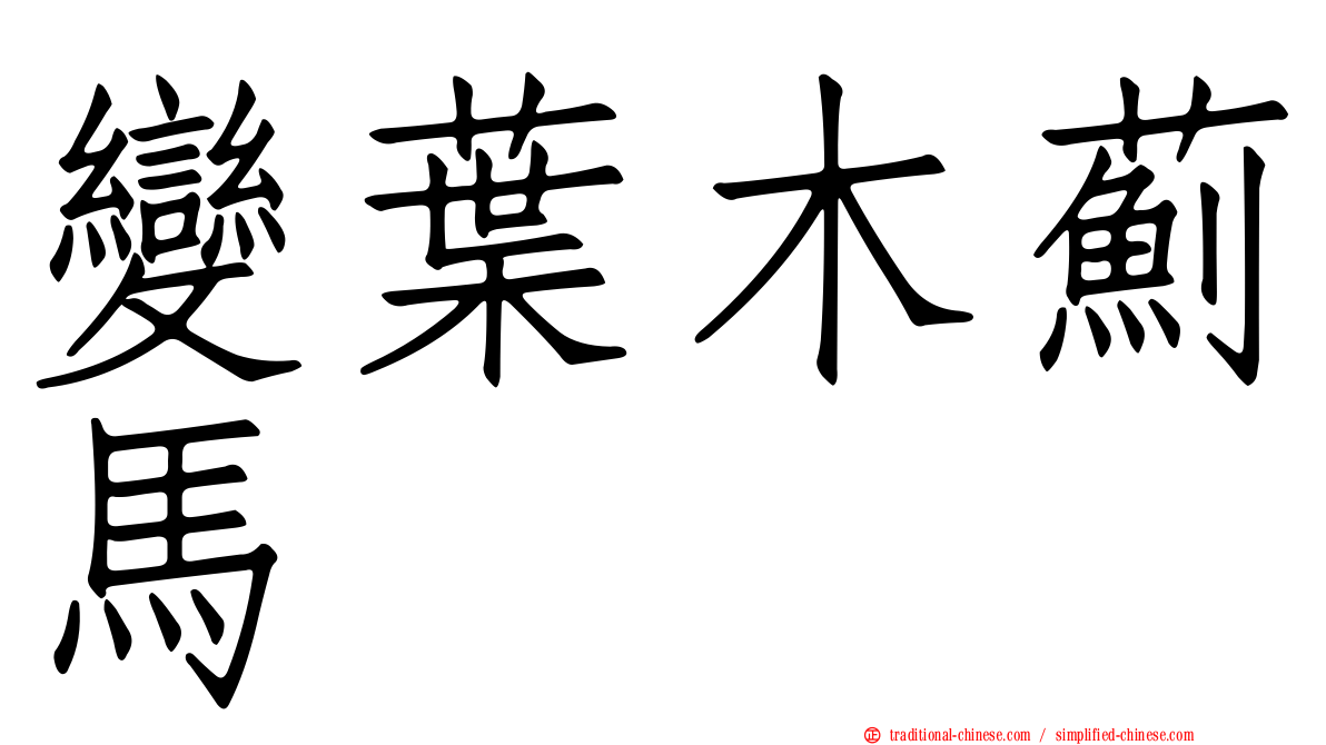 變葉木薊馬